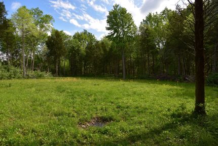 Hunting Land in Williamson County, Illinois