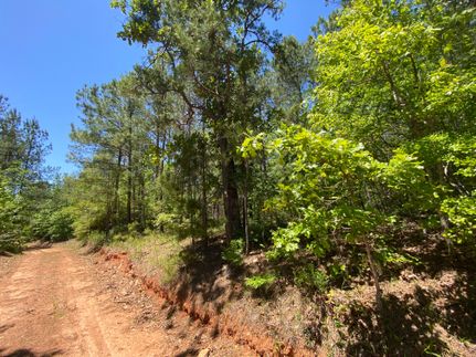 Ranch Property in Coosa County, Alabama