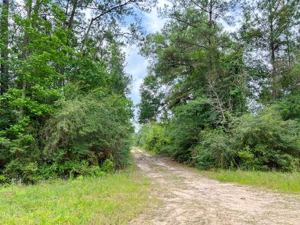 Hunting Land in Hardin County, Texas