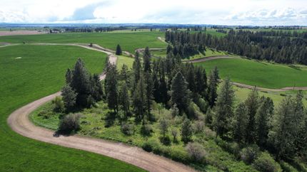 Timberland Property in Clearwater County, Idaho