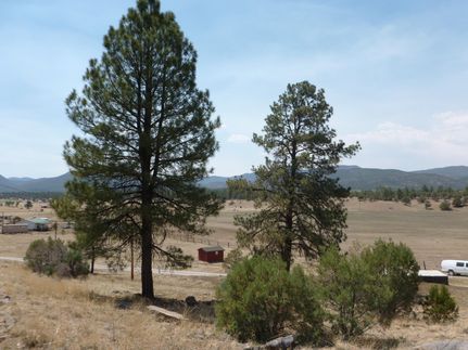 Residential Property in Catron County, New Mexico