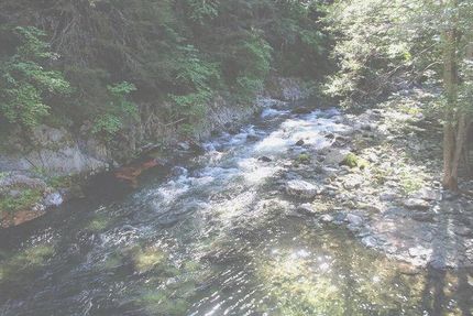 Farm Property in Plumas County, California