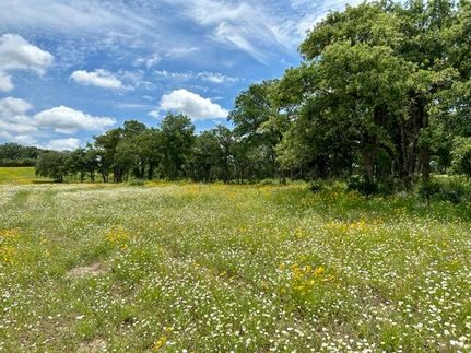 Recreational Property in Lee County, Texas