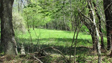Farm Property in Sullivan County, New York
