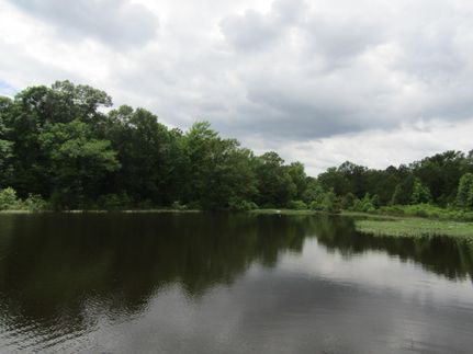 Ranch Property in Panola County, Texas