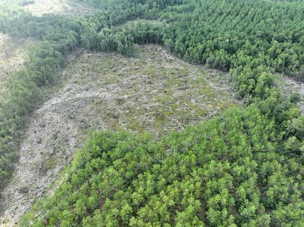 Property in Tyler County, Texas