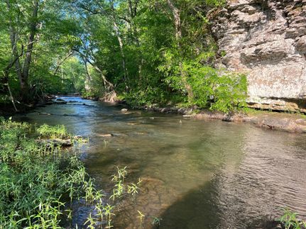 Property in Conway County, Arkansas