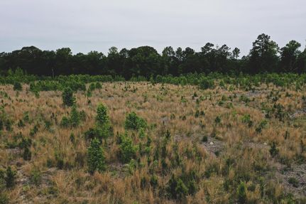 Farm Property in Hoke County, North Carolina