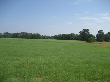 Property for sale in Houston County, Texas