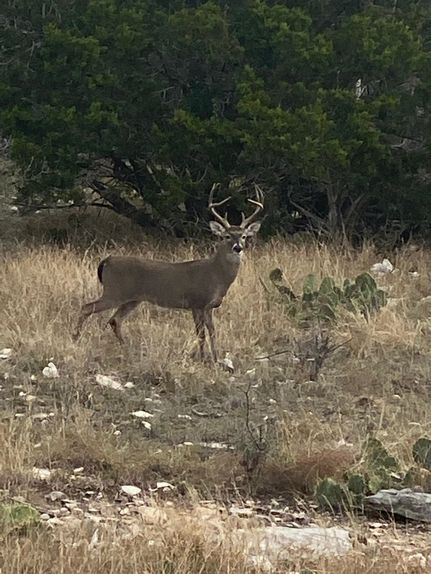Farm Property in Edwards County, Texas
