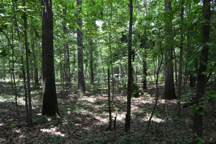 Property in Richmond County, Georgia