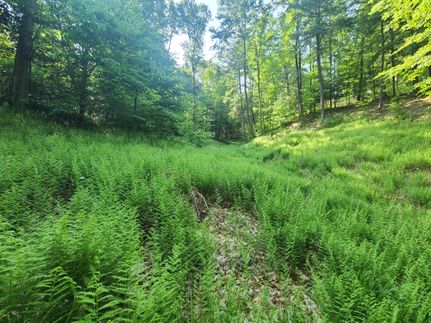 Undeveloped Land in Oneida County, New York