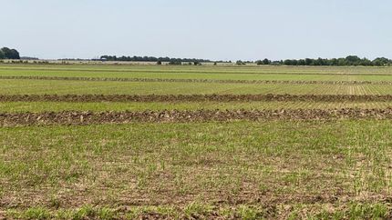 Riverfront Property in Craighead County, Arkansas