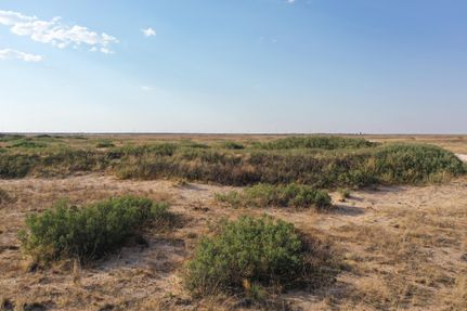 Property in Cochran County, Texas