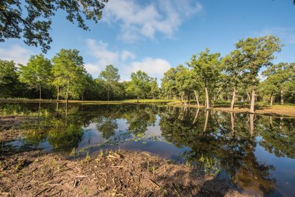 Waterfront Property in Burleson County, Texas