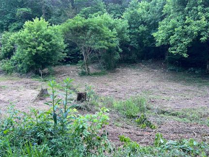 Undeveloped Land in Claiborne County, Tennessee