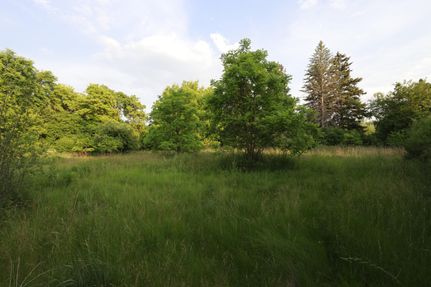 Timberland Property in Saginaw County, Michigan
