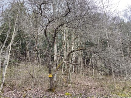 Farm Property in Potter County, Pennsylvania