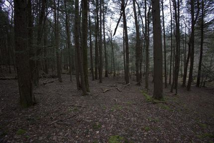 Property in Sullivan County, New York