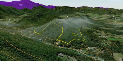 Hunting Land in Page County, Virginia