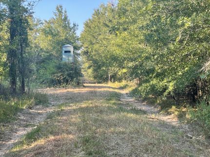 Farm Property in Franklin Parish, Louisiana