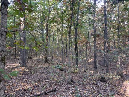 Property in Texas County, Missouri