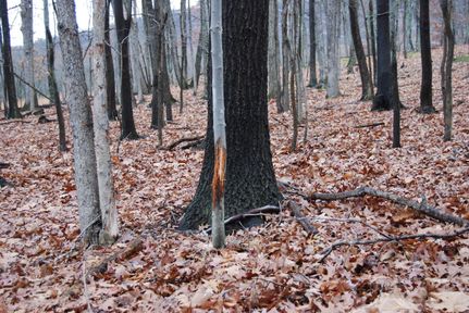 Recreational Property in Berkeley County, West Virginia