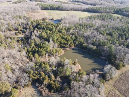 Timberland Property in Caswell County, North Carolina