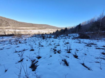 Recreational Property in Chenango County, New York