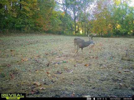 Recreational Property in Caldwell County, Kentucky