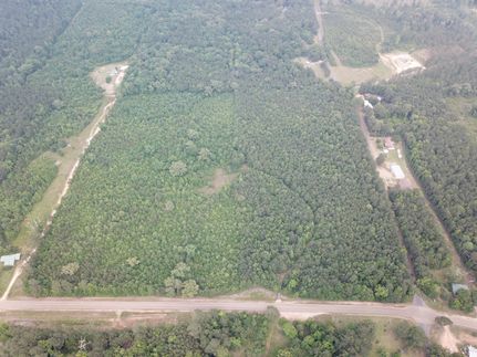 Timberland Property in Bienville Parish, Louisiana