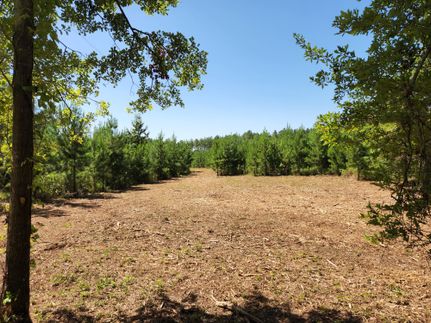 Farm Property in Lamar County, Georgia