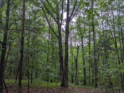 Farm Property in Union County, South Carolina