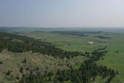 Property in Custer County, South Dakota