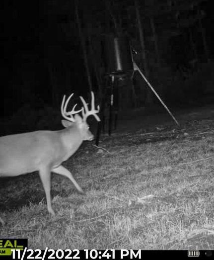 Recreational Property in Winston County, Mississippi