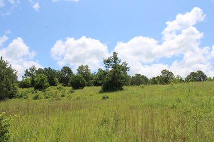 Farm Property in Tate County, Mississippi