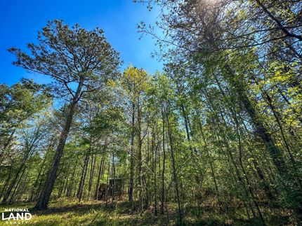 Recreational Property in Marengo County, Alabama
