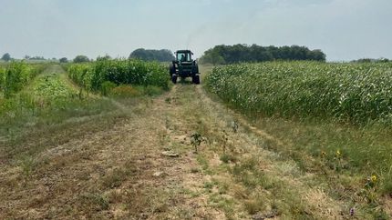 Farm Property for sale in Hamilton County, Texas
