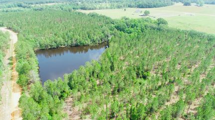 Recreational Property in Toombs County, Georgia