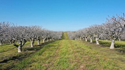 Property for sale in Madera County, California