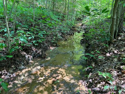 Recreational Property in Muskingum County, Ohio