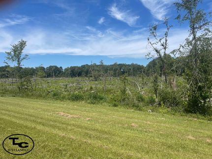 Ranch Property in Clarke County, Alabama