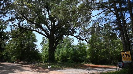 Farm Property in Lamar County, Georgia