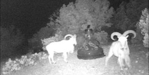 Ranch Property in Edwards County, Texas