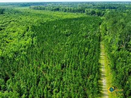 Timberland Property in Dorchester County, South Carolina