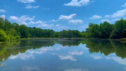 Farm Property in Abbeville County, South Carolina