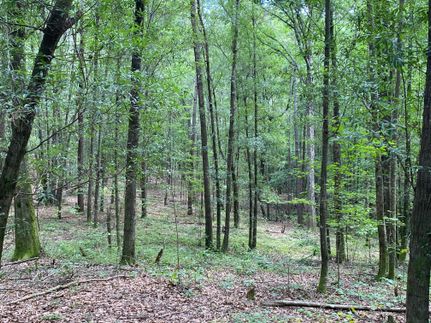 Farm Property in Crenshaw County, Alabama