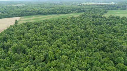 Waterfront Property in Ohio County, Kentucky