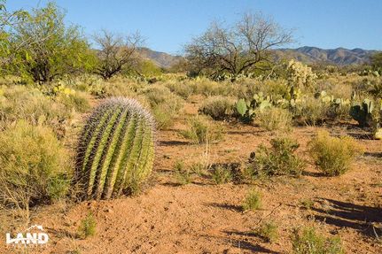 Farm Property in Pima County, Arizona