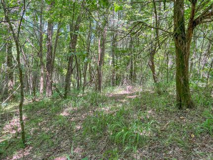 Farm Property in Bowie County, Texas